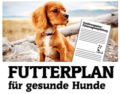 FutterplanfürgesundeHunde