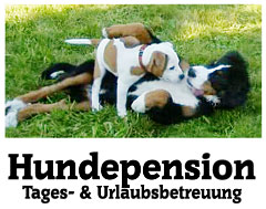 Hundepension-Tages--Urlaubsbetreuung