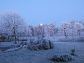 Winter_1