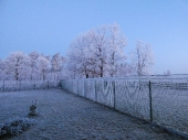 Winter_3