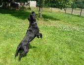 rennen und toben_10