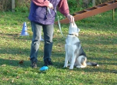 Hundetreffpunkt_7