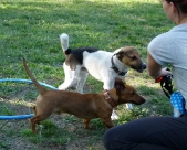 Training und Spiel_11