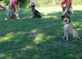 Training und Spiel_55