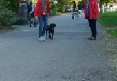 Spaziergänge Tierparkbesuche