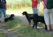 Umweltspaziergang an den Maasdorfer Teichen_14