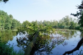 Umweltspaziergang an den Maasdorfer Teichen_18