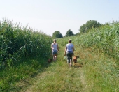 Umweltspaziergang an den Maasdorfer Teichen_1