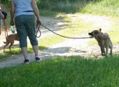 Umweltspaziergang an den Maasdorfer Teichen_24