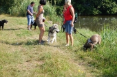 Umweltspaziergang an den Maasdorfer Teichen_2