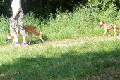 Umweltspaziergang an den Maasdorfer Teichen_4