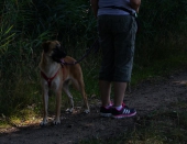 Spaziergänge Tierparkbesuche