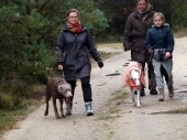 Spaziergänge Tierparkbesuche