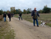 Umweltspazierung im Wald_11