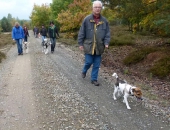 Umweltspazierung im Wald_14