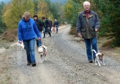 Umweltspazierung im Wald_17