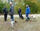 Umweltspazierung im Wald_19