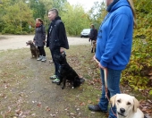 Umweltspazierung im Wald_20