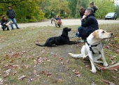 Umweltspazierung im Wald_24