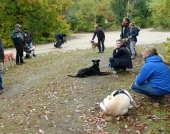 Umweltspazierung im Wald_27