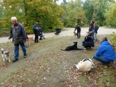 Umweltspazierung im Wald_28