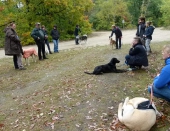 Umweltspazierung im Wald_29