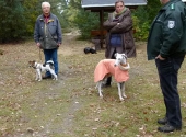 Umweltspazierung im Wald_30