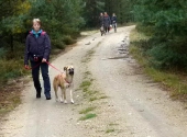 Umweltspazierung im Wald_8