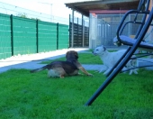 rennen und toben_7