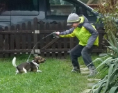 Hundepension_4