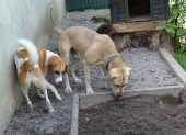 Pension_2