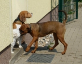 Pension_76