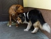 Pension_7