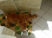 Pension_2