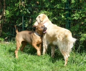 Pension_11