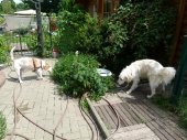 Pension_11