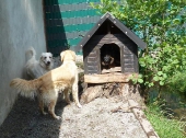 Pension_15
