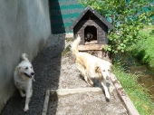 Pension_16
