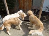 Pension_2