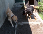 Pension_47