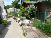 Pension_3