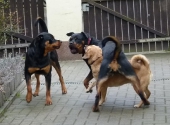 März