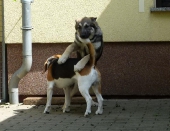 Pension_10