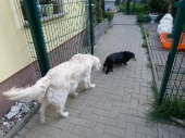 Pension_195