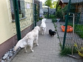Pension_196