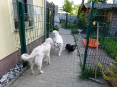Pension_197