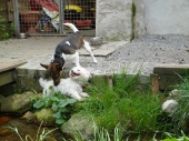 Pension_21