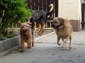 Pension_222