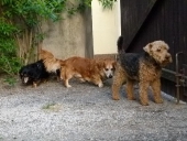 Pension_4