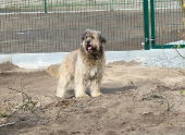 Pension_11